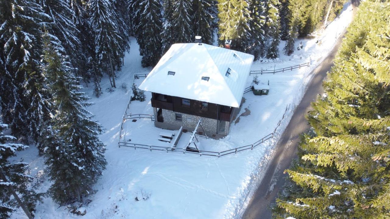 Apartments Villa Vesna Pokljuka Goreljek Dış mekan fotoğraf