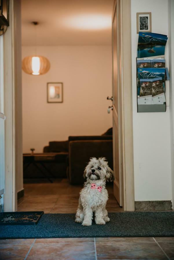 Apartments Villa Vesna Pokljuka Goreljek Dış mekan fotoğraf